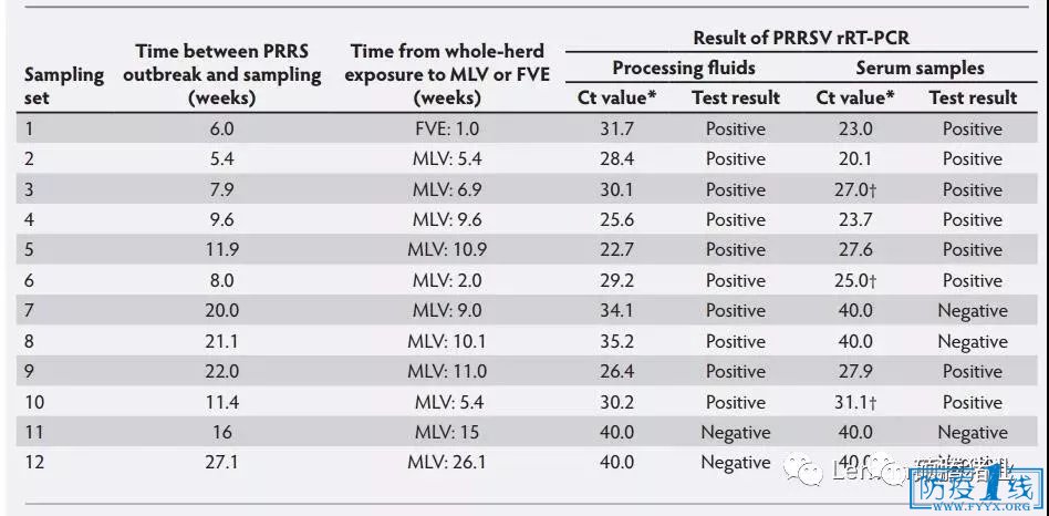 2 ̎Һ͌(yng)ѪƷеPRRSV RT-PCRzyY(ji)PRRSl(f)rgͲɘӵgrgȫȺMLVFVERҰ¶ܔ(sh)Lopez et al., 2018